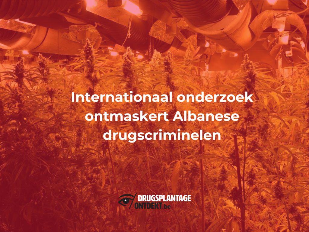 Antwerpen, Ternat - Internationaal onderzoek ontmaskert Albanese drugscriminelen